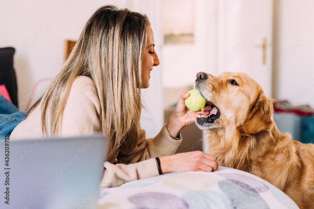 Young woman playing with dog at home Young woman playing with dog at home