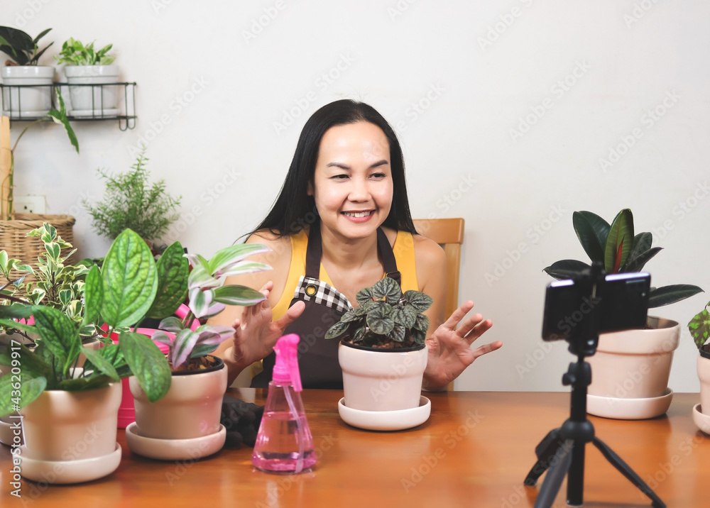 female gardener in sleeveless shirt and apron, working at home, using mobile phone to live or record video selling her houseplant or presenting how to take care plant. online selling concept. female gardener in sleeveless shirt and apron, working at home, using mobile phone to live or record video selling her houseplant or presenting how to take care plant. online selling concept.