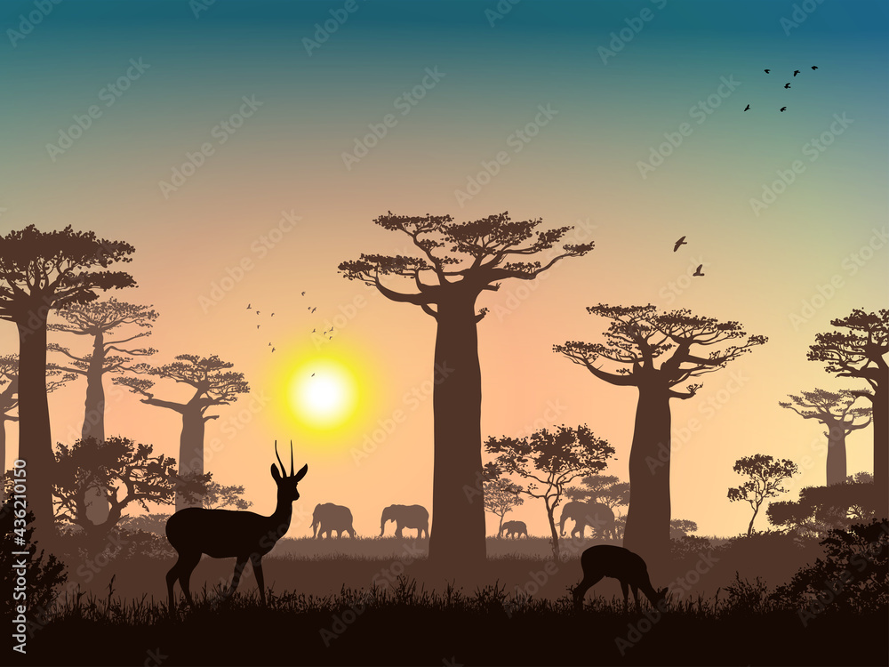 African landscape. Grass, trees, birds, animals silhouettes. Abstract nature background. Template for your design works.