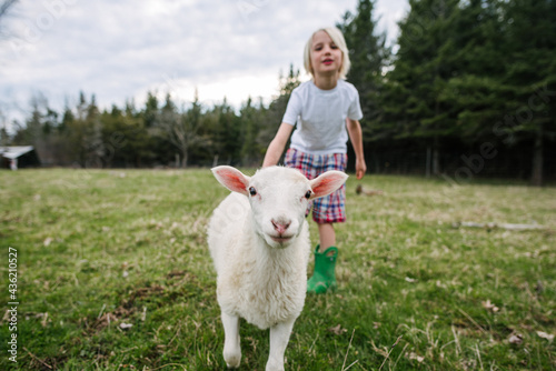 Canada, Ontario, Kingston, Boy with lamb in field
