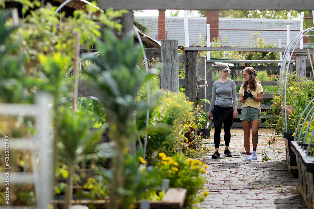 © Image Source RF - Australia, Melbourne, Two women walking on path at community garden