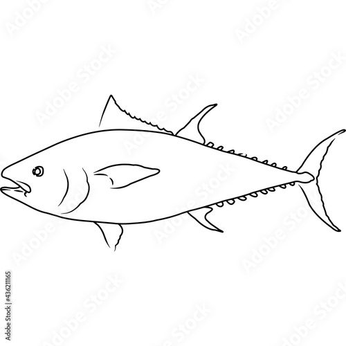 Tuna Hand sketched, hand drawn vector clipart