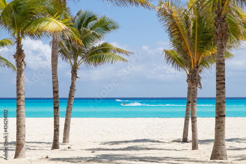 A beautiful beach with white sand, turquoise sea, and palm trees. Paradise beach © Irina