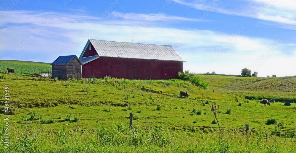 red barn in the field