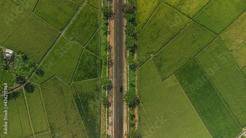 Beautiful roads and rice fields in Central Java, Indonesia