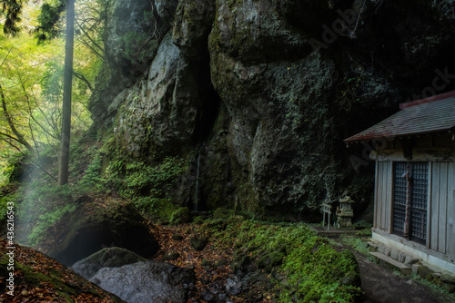 兵庫県⋆苔むす吉滝風景 