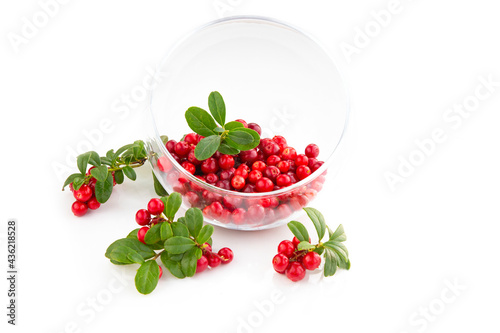 Foto Wild cowberry foxberry, lingonberry with leaves in a glass bowl