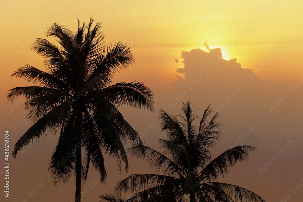 Dramatic panorama view of silhouette coconut palm tree on twilight sky and cloud with bright sunlight for tourism industry background.