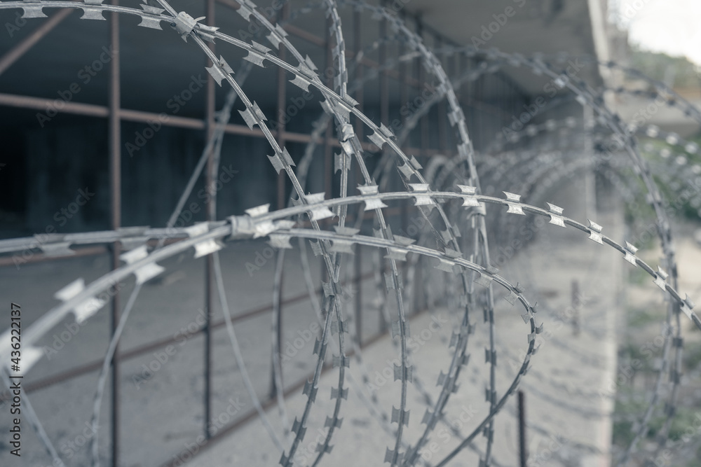 Fototapeta premium razor wire fence