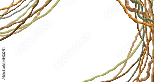 Ivy frame. Liana branches and tropical leaves. Game cartoon poster of creeper jungle. Isolated vector hedera  helix on white background.