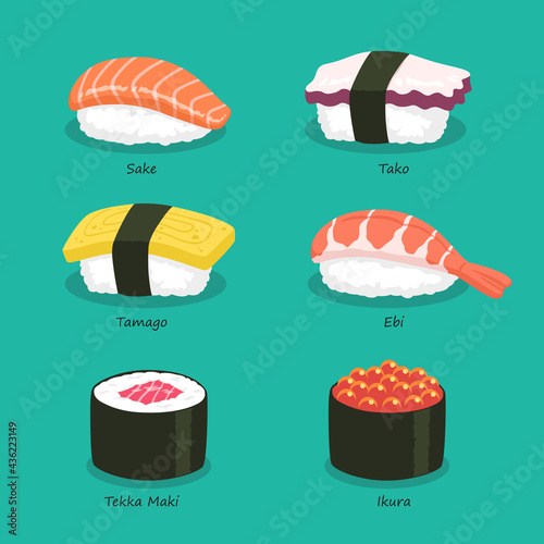 Nigiri Sushi icon set with names, Sake, Tako, Tamago, Ebi, Tekka Maki, Ikura, Japanese seafood, Vector Illustration