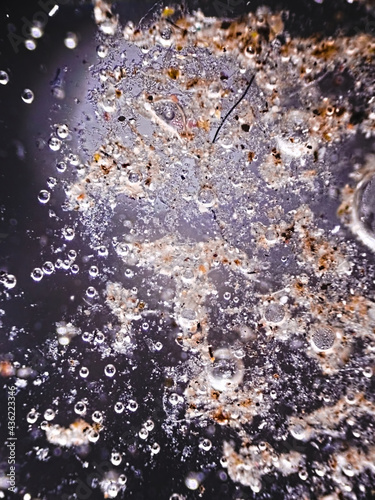 Fotótapéta Reflected light microscopy of house dust sample