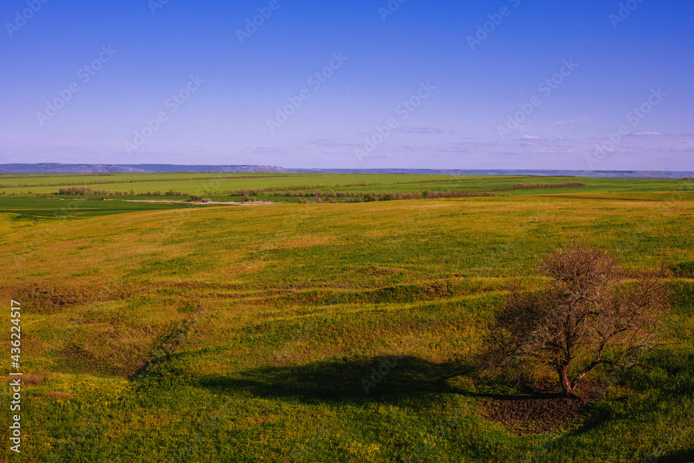 Grassy field and hills. Rural landscapes. Shot from above. Beautiful top view of sown fields.