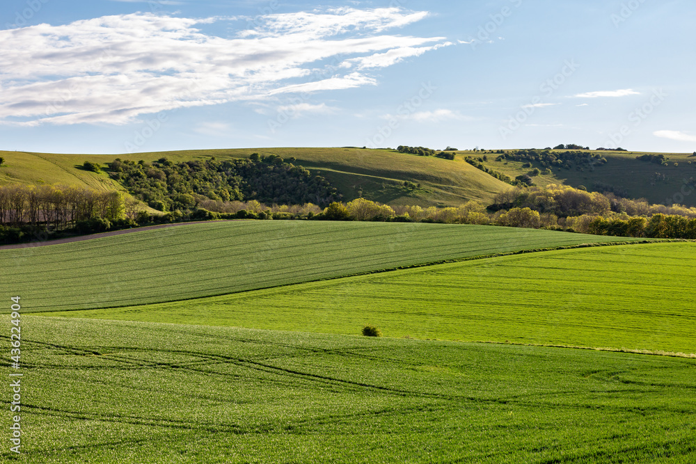 A Rural Sussex Landscape on a Sunny Spring Evening