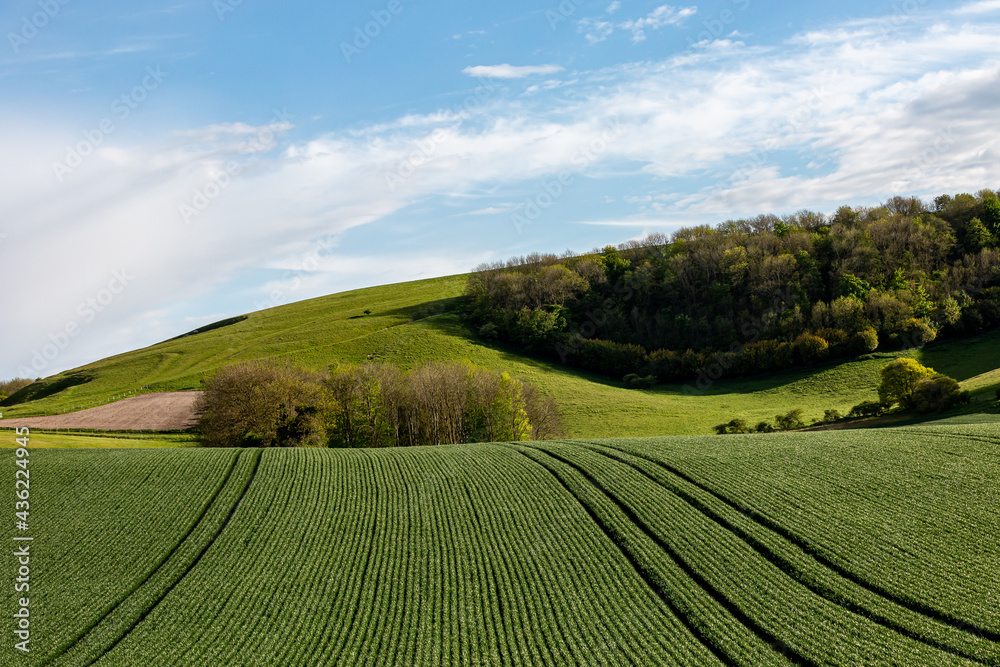 A Rural Sussex Landscape on a Sunny Spring Evening