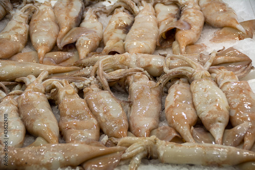 A stack of fresh cuttlefish in a fish market in Athens, Greece. Fresh Seafood on ice for sale