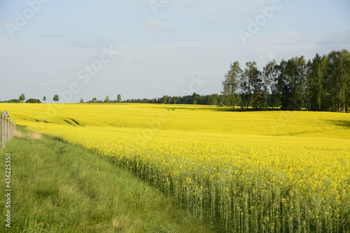 Nationalpark Sächsische Schweiz