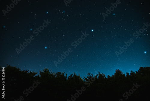 starry night sky over the forest