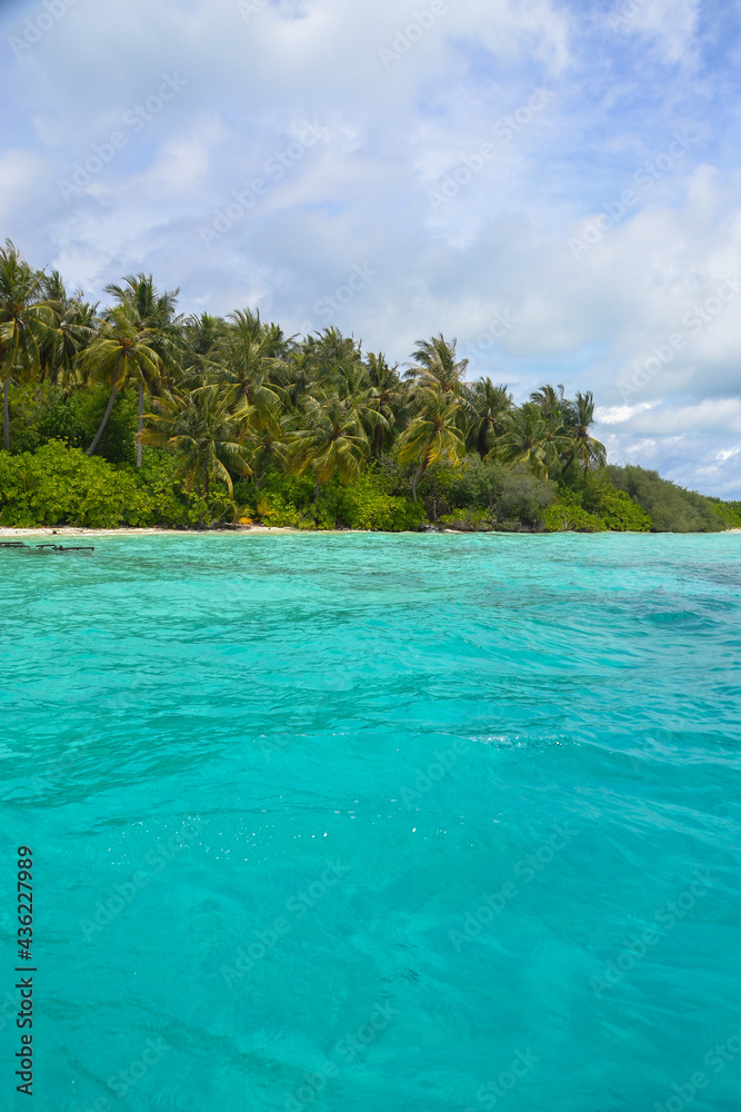 Maldives blue waters with green palm trees island