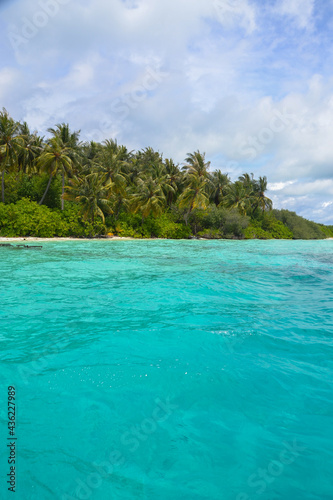 Maldives blue waters with green palm trees island