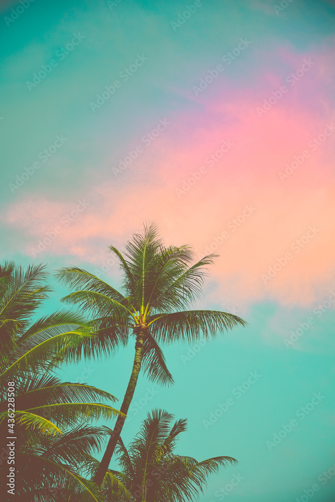 Obraz premium Pastel cloud at sunset with green palm trees