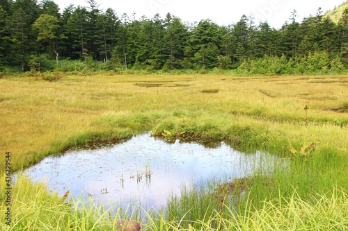 志賀高原の夏。四十八池湿原：志賀山と鉢山の間にある湿原、四十八という名だが実際には約60の池塘がある。 