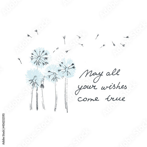 May All Your Wishes Come True vector card. Hand drawn illustration of dandelions with seeds blowing in the wind. Handwritten quote. Cute card. Accomplishment of desires concept