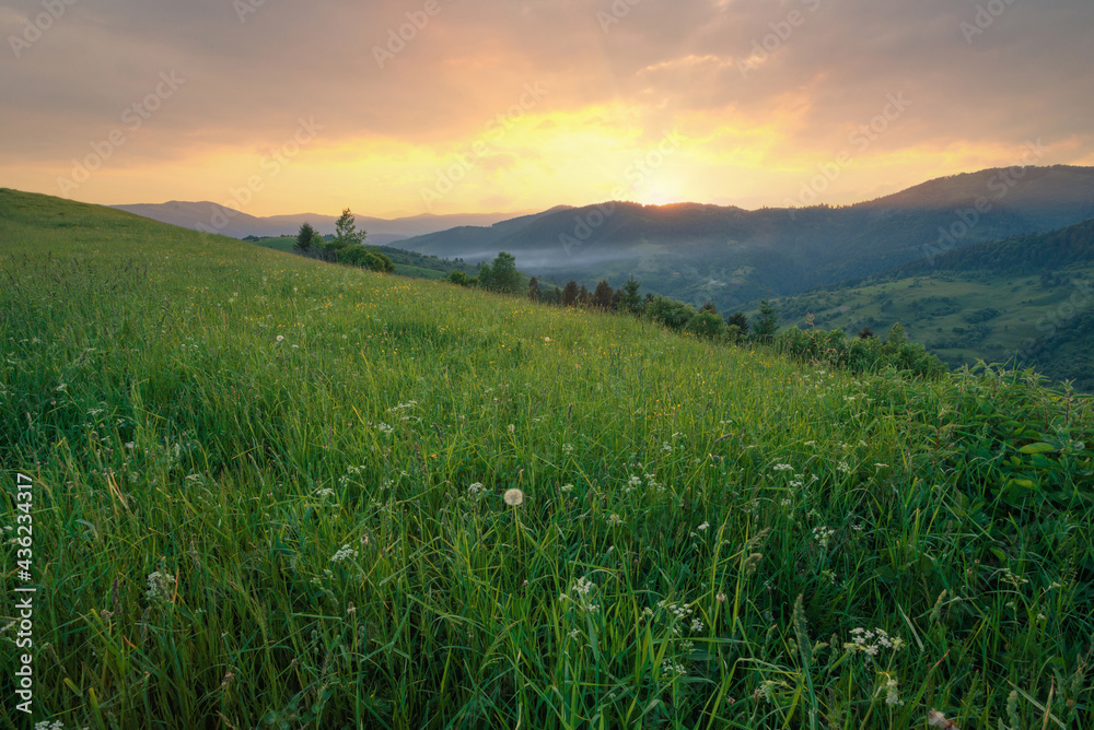 Beautiful summer evening scenery of green Carpathian mountains. High grass hills under a beautiful sunset sky.