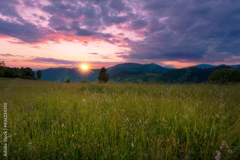 Beautiful summer evening scenery of green Carpathian mountains. High grass meadow under a beautiful sunset sky.