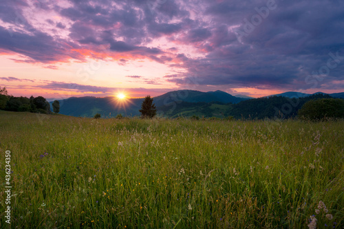 Beautiful summer evening scenery of green Carpathian mountains. High grass meadow under a beautiful sunset sky.