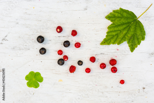 Berries red and black currants with strawberry  and clover are scattered on the old wooden table