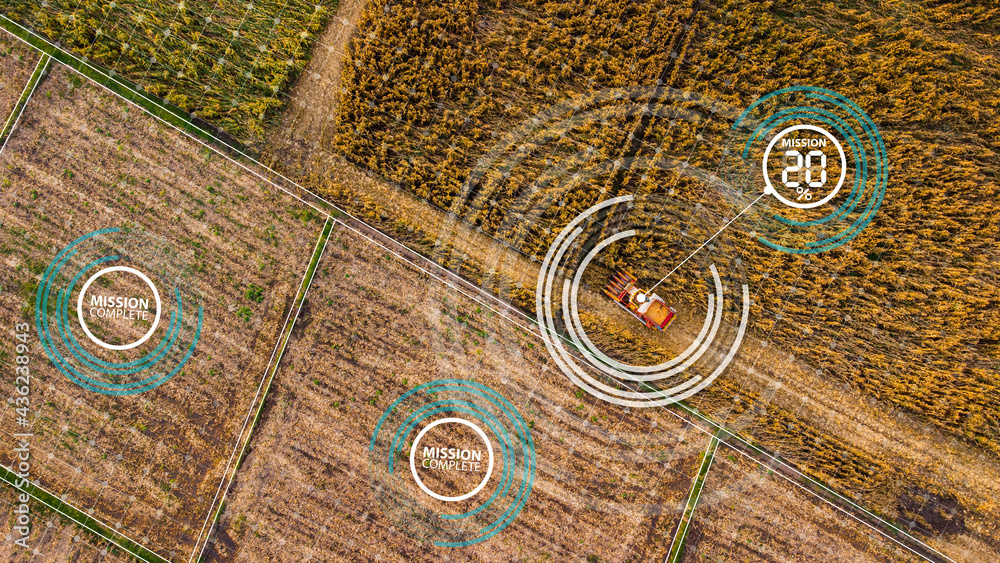 smart farm, Aerial view above harvest corn on agricultural field using combine harvester machine with graphic modern industry agriculture technology concepts