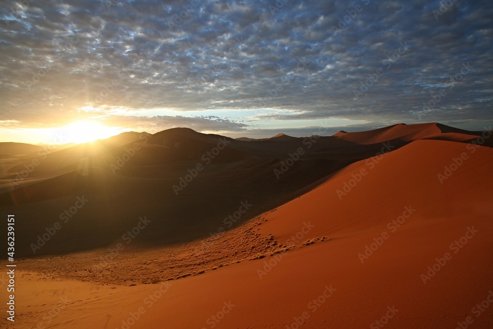 View from the sand dune number 45 to the other dunes in Sossusvlei. Namib Naukluft National Park. Namibia. Africa.