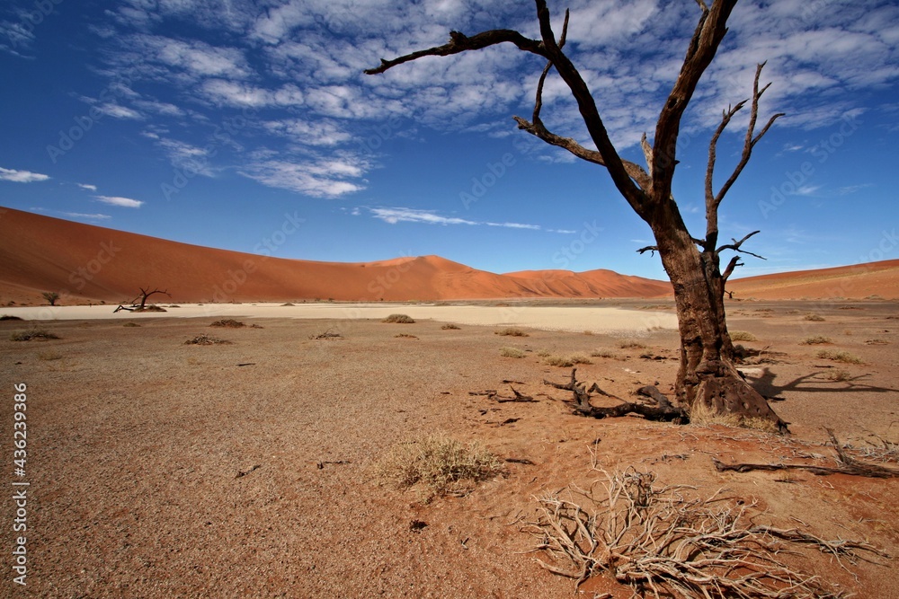 Deadvlei is a white clay pan located near the more famous salt pan of Sossusvlei, inside the Namib-Naukluft National Park in Namibia. Africa. Deadvlei is a white clay pan located near the more famous salt pan of Sossusvlei, inside the Namib-Naukluft National Park in Namibia. Africa.