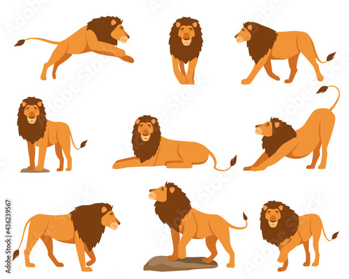 Lion character vector illustrations set. Orange cartoon feline  king of animals with tail lying  jumping  walking  stretching isolated on white background. Nature  wildlife  animals  mascot concept