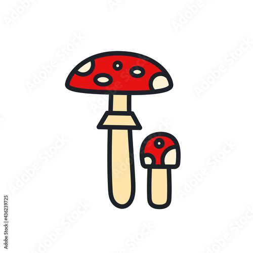 Fly agaric toadstool icon. Vector isolated linear color icon contour shape outline. Thin line. Modern glyph design. Mushrooms. Nature