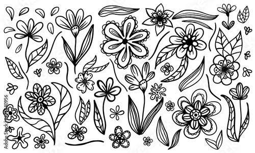 Collection of different hand drawn isolated contour plants without background. Editable vector flowers and leaves illustration graphics.