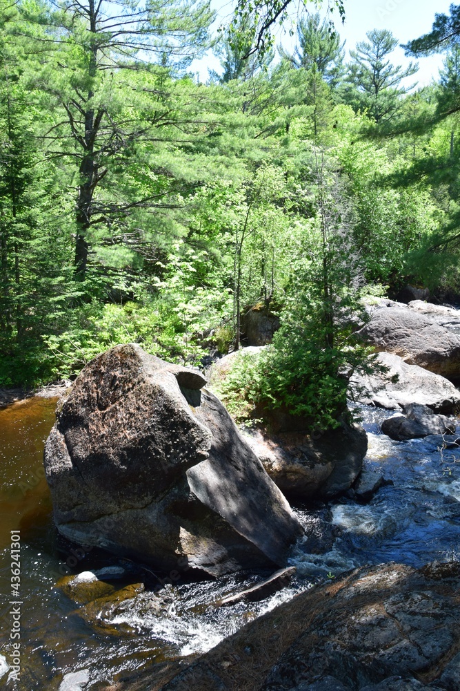 Obraz premium Park of the Doncaster river in southern Quebec