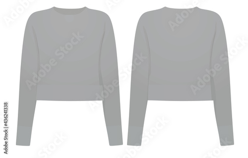 Women grey crop sweater. vector illustration