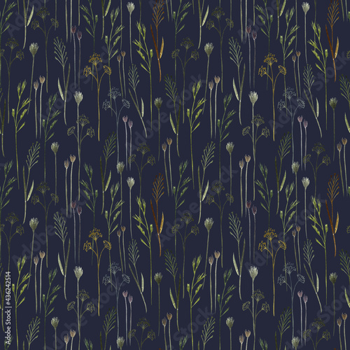 Watercolor seamless pattern with wild field herbs  wild grasses on a blue background.