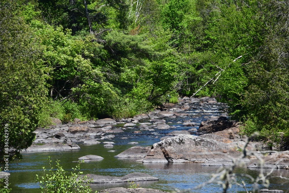 Park of the Doncaster river in southern Quebec