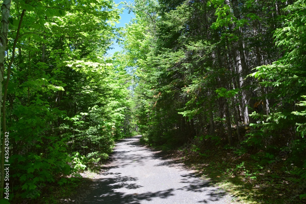 Park of the Doncaster river in southern Quebec