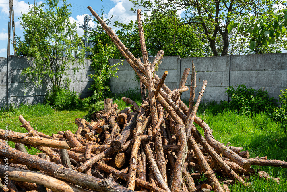 Peeled, uncut logs lying on a pile on the ground in the backyard. Peeled, uncut logs lying on a pile on the ground in the backyard.