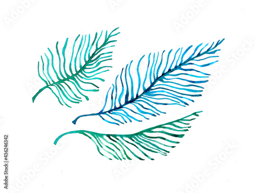 Hand drawn watercolor flowers Leaves elements