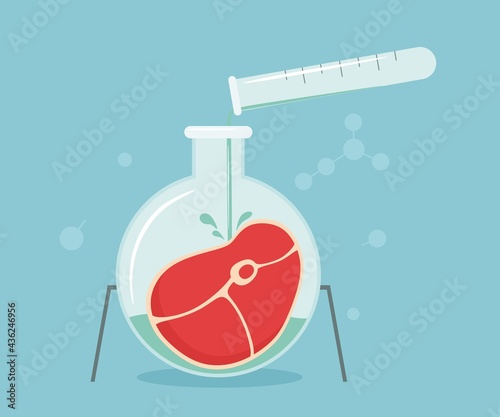 Artificial synthetic meat grown in glassware in a chemical laboratory. Scientist meat in science laboratory, scientific development of nutrition. Vector illustration.