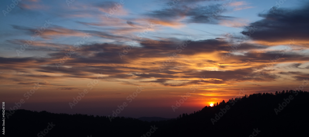 Sunset Panorama over the Forest