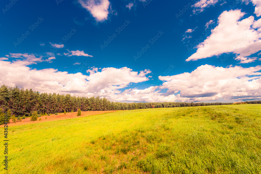 Cumulus clouds over a sunlit hilly fields in the forest Cumulus clouds over a sunlit hilly fields in the forest