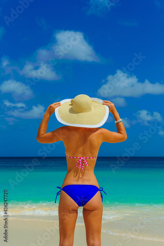 Girl in bikini having fun at the beach with beach hat standing on the shore, looking at horizon