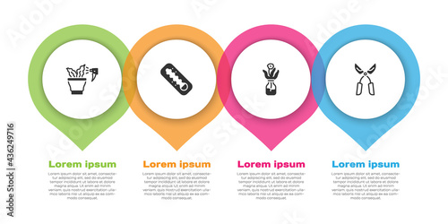Set Spraying plant, Meteorology thermometer, Flower glass bottle and Gardening handmade scissors. Business infographic template. Vector