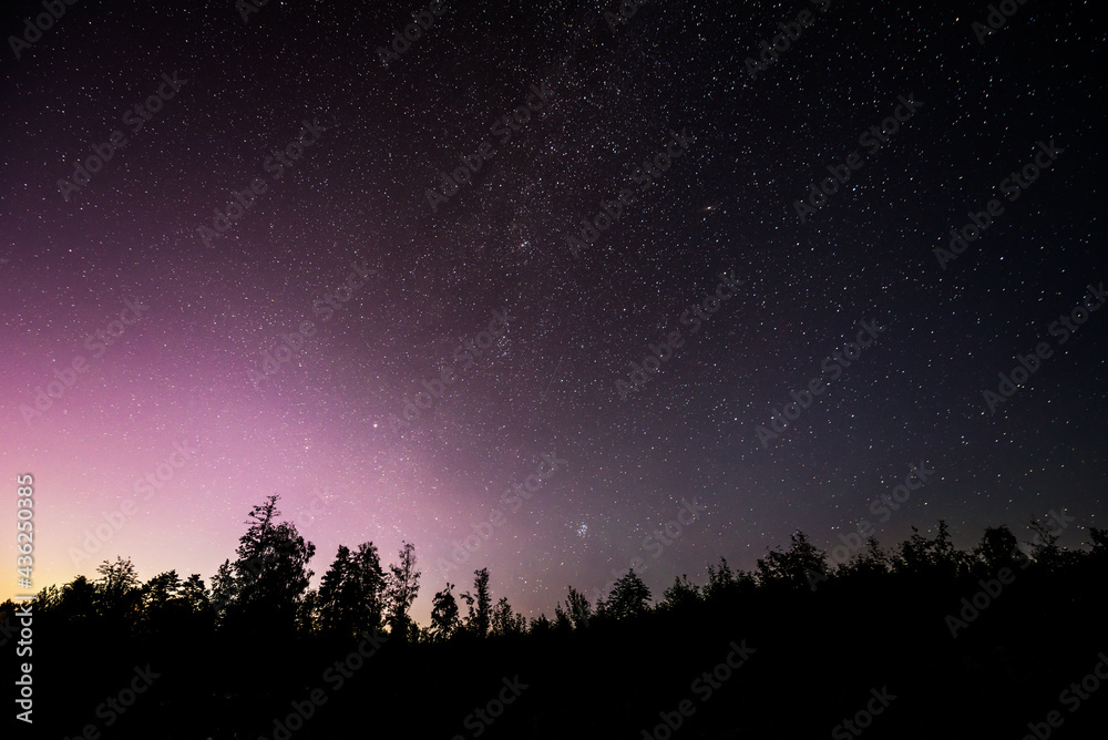 Silhouette of the forest in the night sky